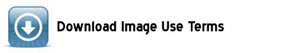 Download Image Terms & Conditions