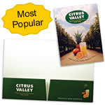 08-92-4CP Two Pocket 4-Color Process Folder