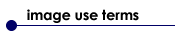 Image Use Terms