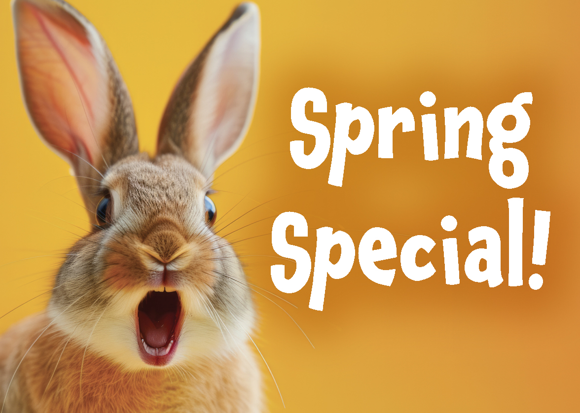Spring Special