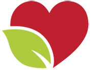 Best Eco Friendly Choice